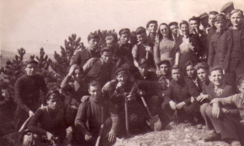 XI     1946 . 
    